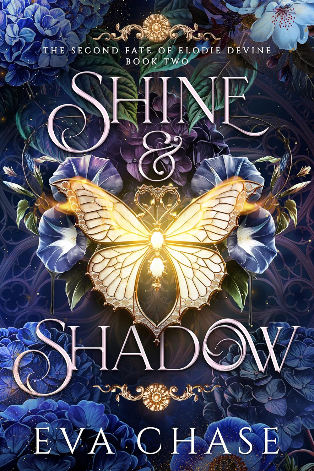 Shine & Shadow