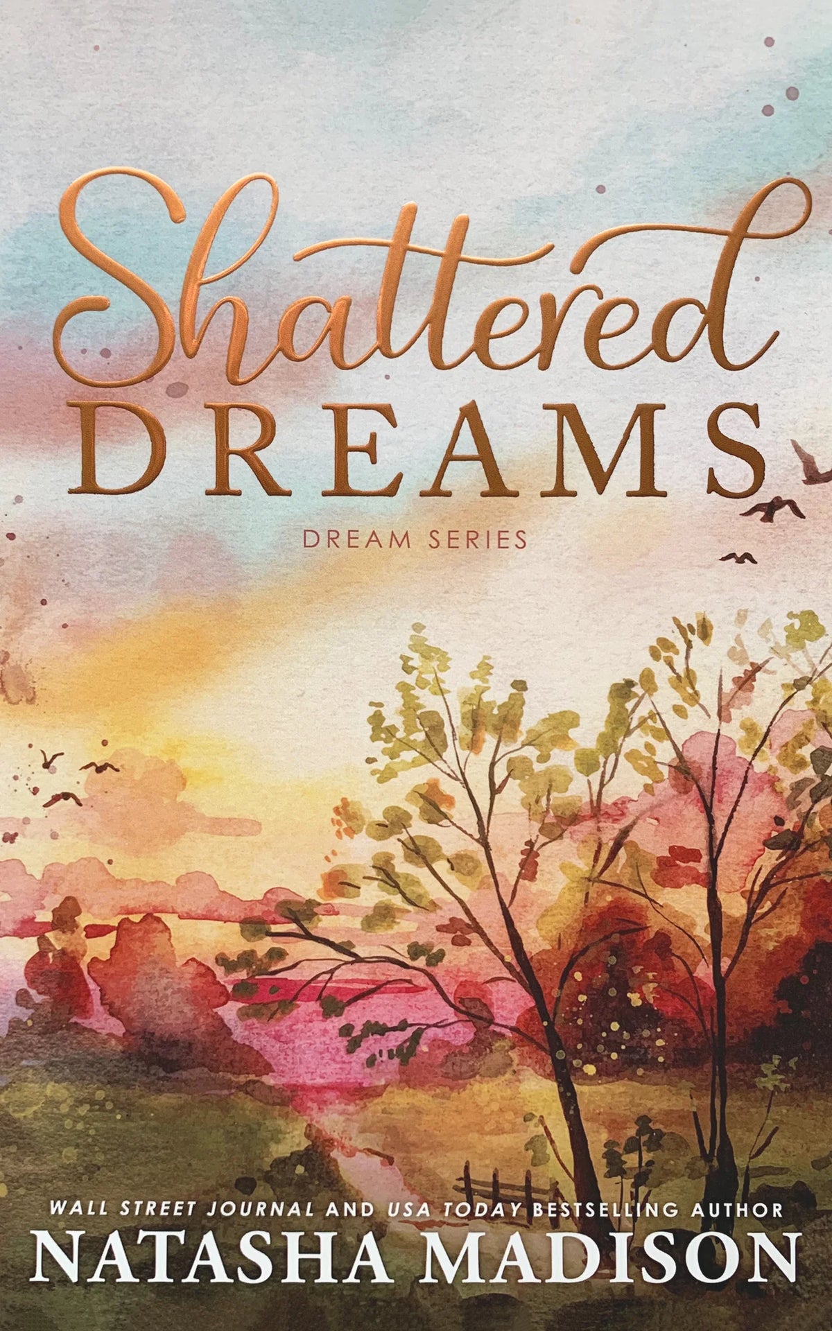 Shattered Dreams